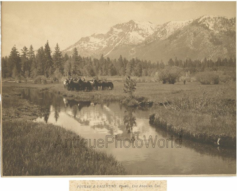 Horses in mountain valley antique art photo by Putnam and Valentine California
