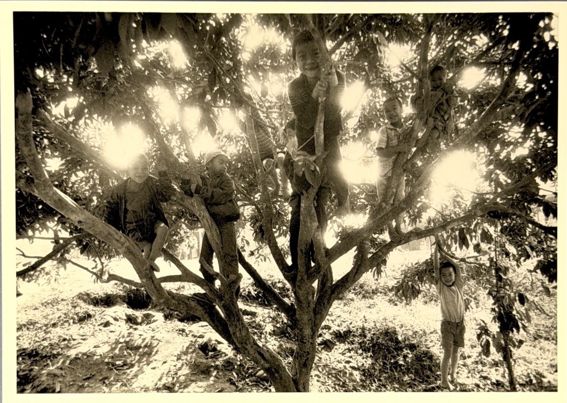 Sebastião Salgado Art Photo Print Card – Thailand, 1987