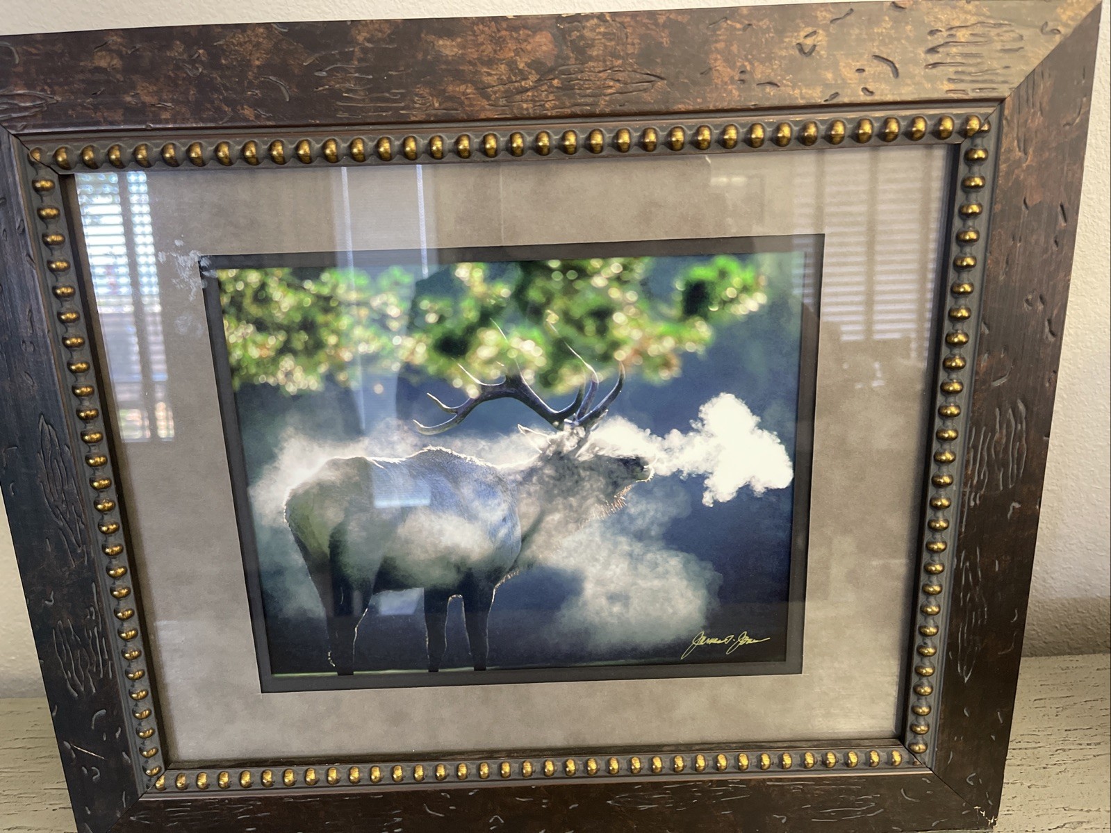 Framed and signed By James T Jones photograph Of Elk In Wildlife