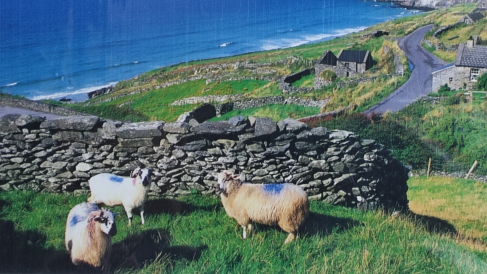 Original Photo Artwork Print Slea Head Dingle by Photographer Liam Blake Ireland