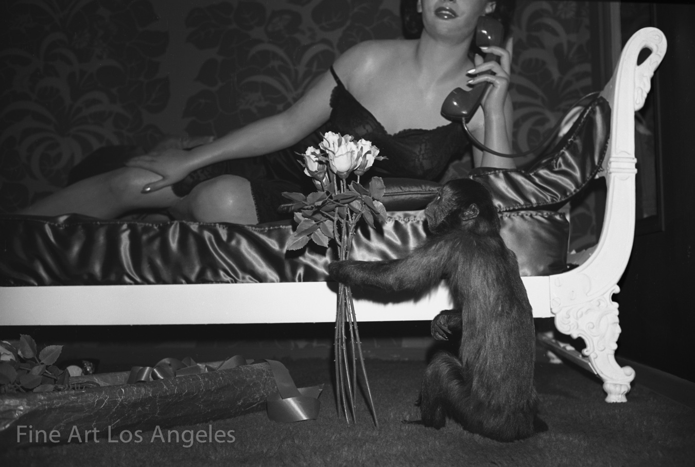 Neal White photo, Monkey and Model, 1970s