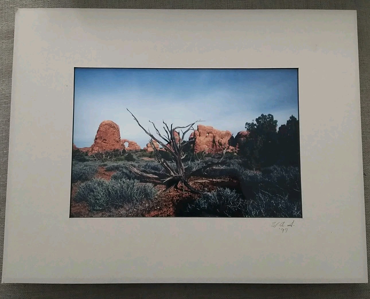 18×14 Matted Photo USA Desert Driftwood Rock Formation W.A.S. ’97