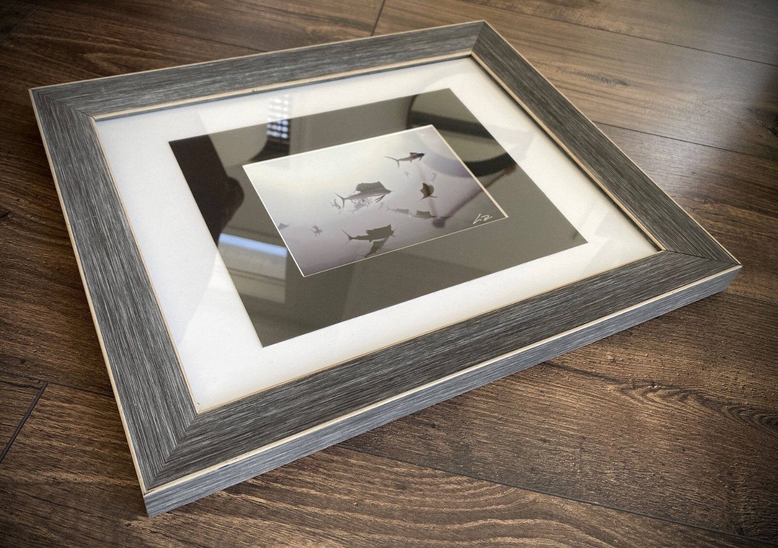 SAILFISH Baitball Signed Chris Doherty 5×7 B/W Photo | Matted & Framed 16.5×13.5