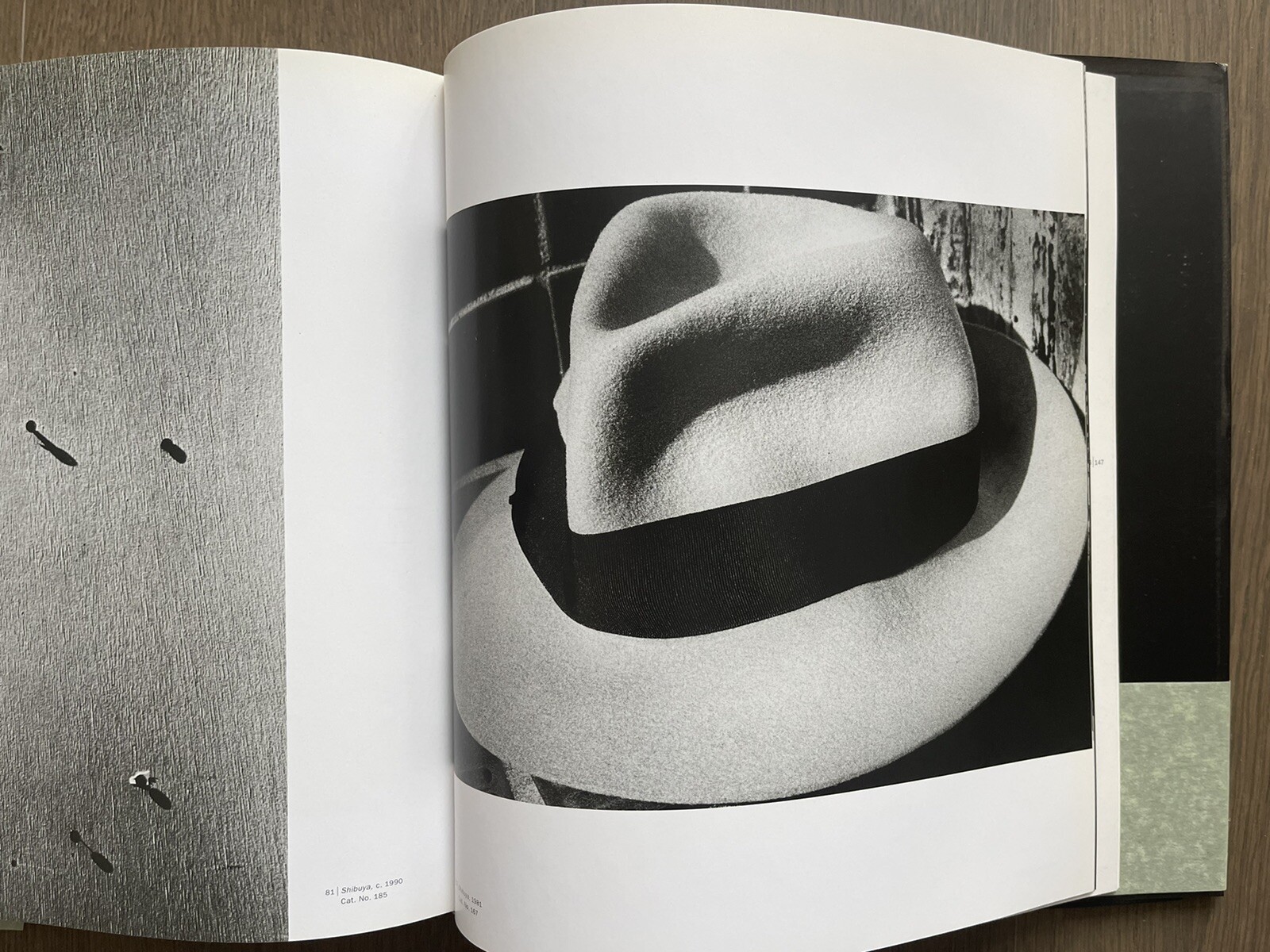 🎈RARE! +Bonus! Daido Moriyama: Stray Dog, 1999, SF Museum Of Modern Art