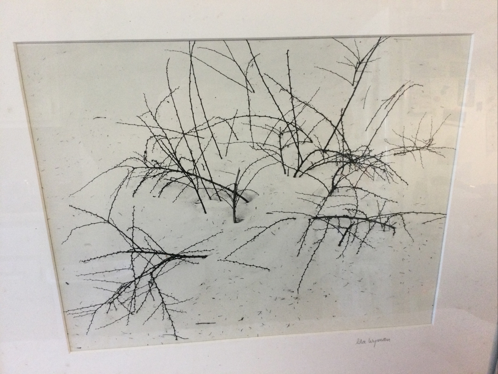 Vtg Genuine Ida Wyman Signed Winter Still Life Landscape Photo NY Photographer