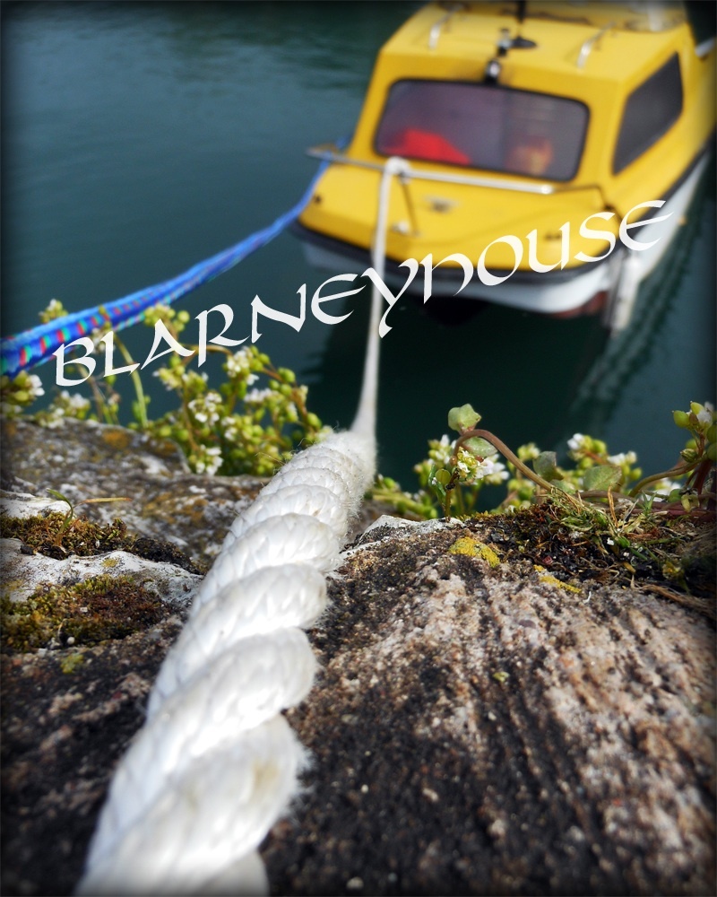 INTERESTING PERSPECTIVE OF YELLOW BOAT, ROPE/DOCKED! 8 x 10 Photo IRELAND!