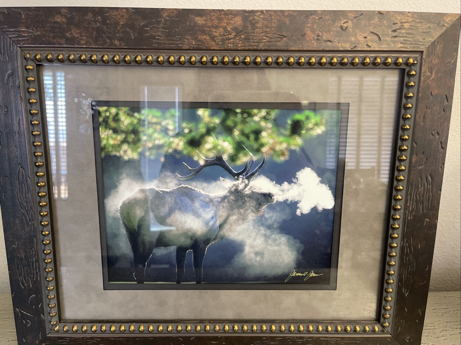 Framed and signed By James T Jones photograph Of Elk In Wildlife