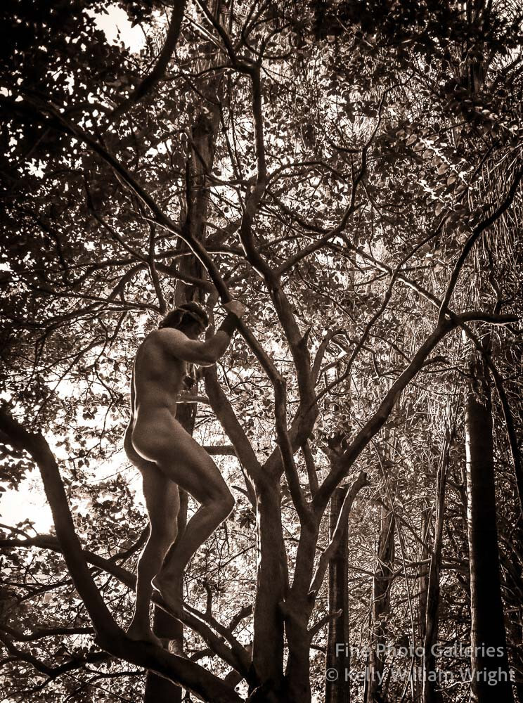 Original Male Nude KELLY WILLIAM WRIGHT Song Of The Trees #24 Art Photo 9×12