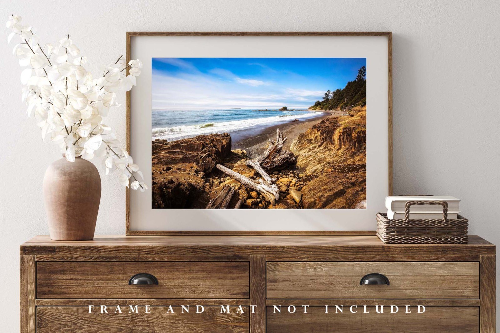 Driftwood Photography Print: Washington Coast Pacific Northwest Beach Photo