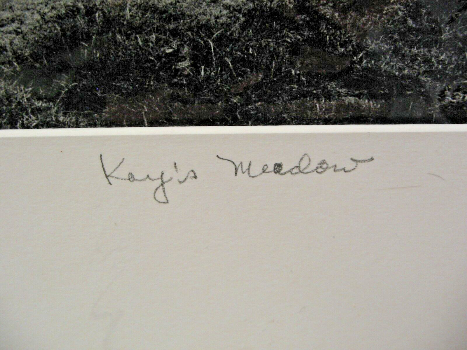 ART PHOTOGRAPHY 16×20 Kay’s Meadow B&W Matte Acid Free by Larry Santucci