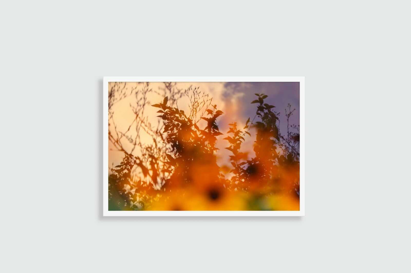 Large Abstract Botanical Fine Art Photography Print 24x16in 