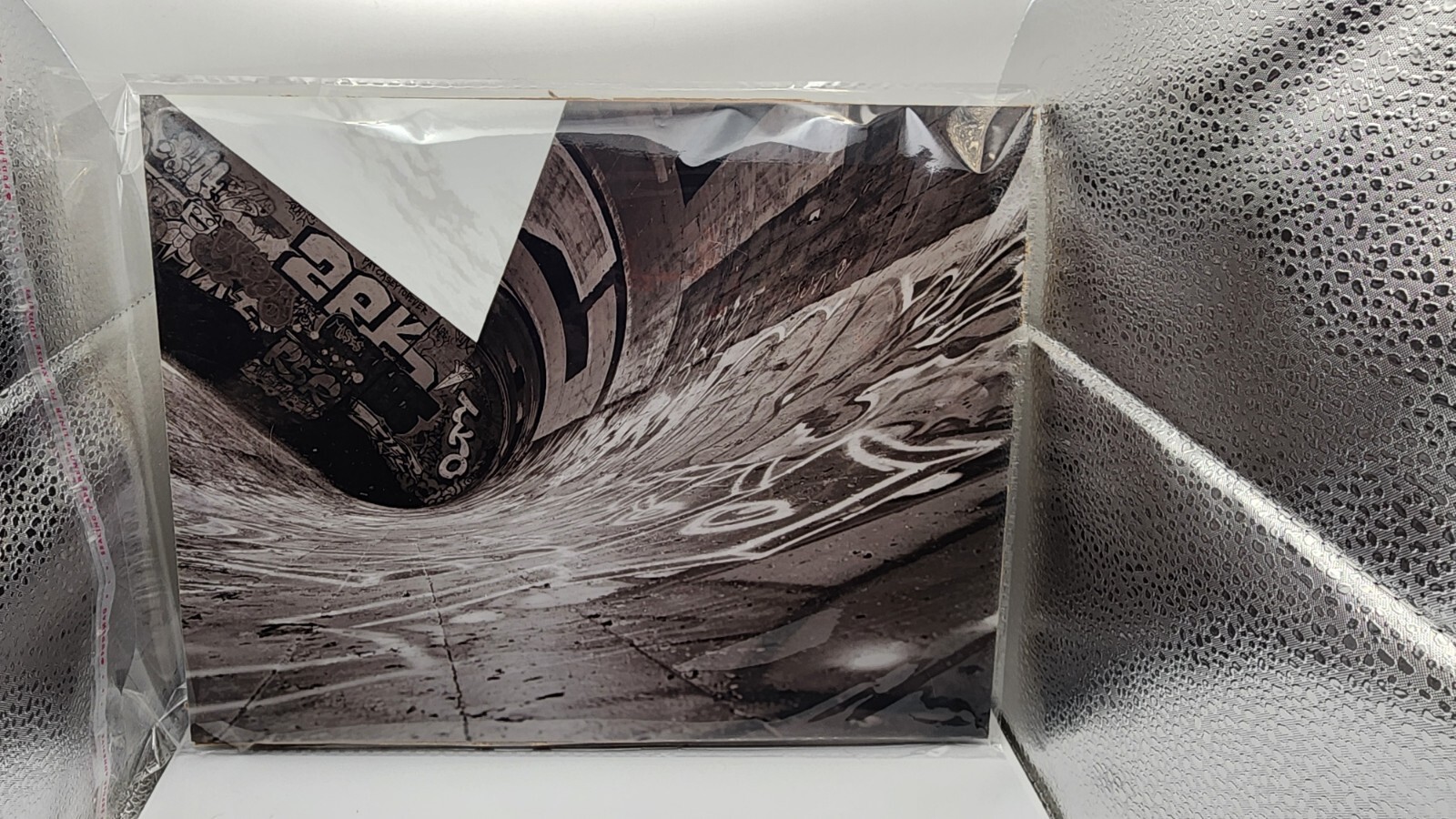 “Urban Jungle” Photograph by artist duo T&P 8 Inches by 11 Inches