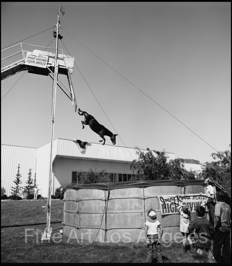 Neal White Photo, “Diving Horse” Side Show 1970s