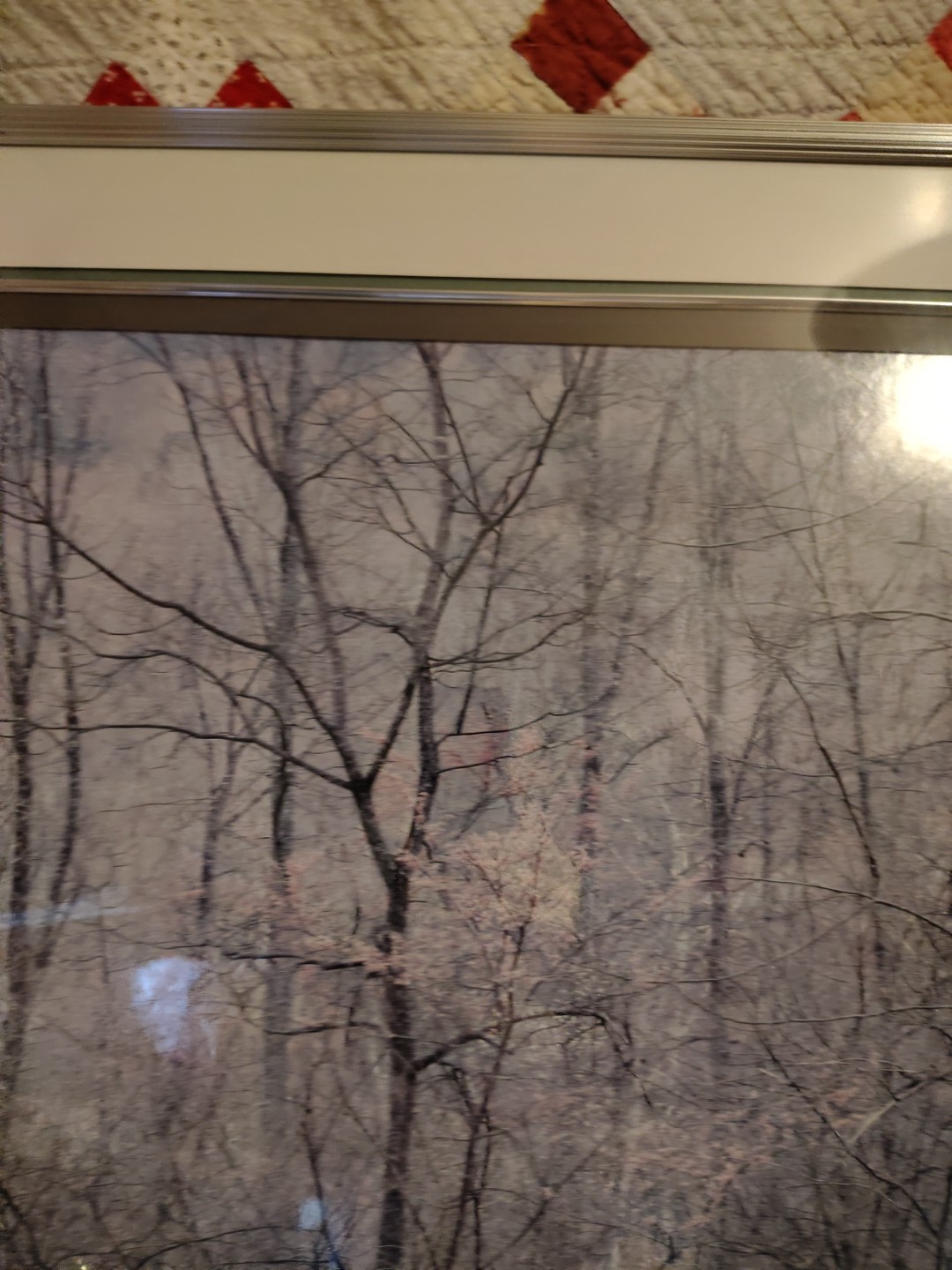 Eliot Porter Print Redbud Tree In Bottom Land Formatting’s Professional Framed