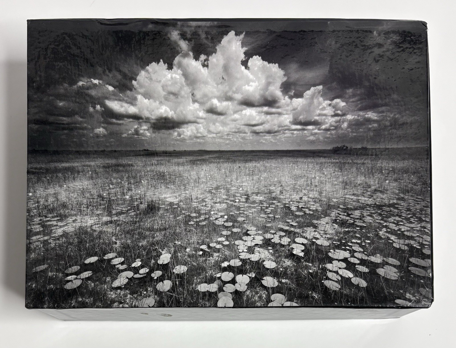 Clyde Butcher SIGNED Notecards Collection Swamp B&W Fine Art Photos Vintage Rare