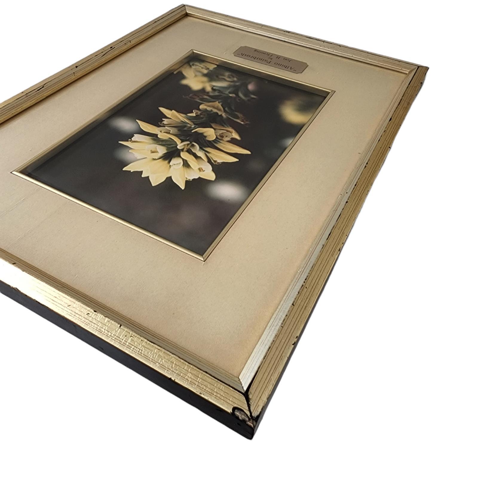Floral Photograph Wall Art Framed Original Signed Engraved Plaque