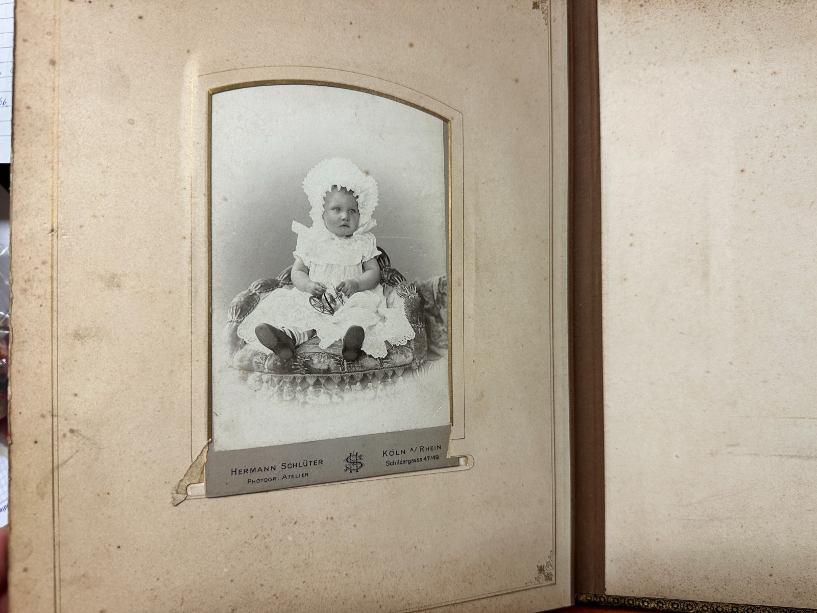 Old Photo Album CAB, Magnificent Album Salon Album TE210925/543