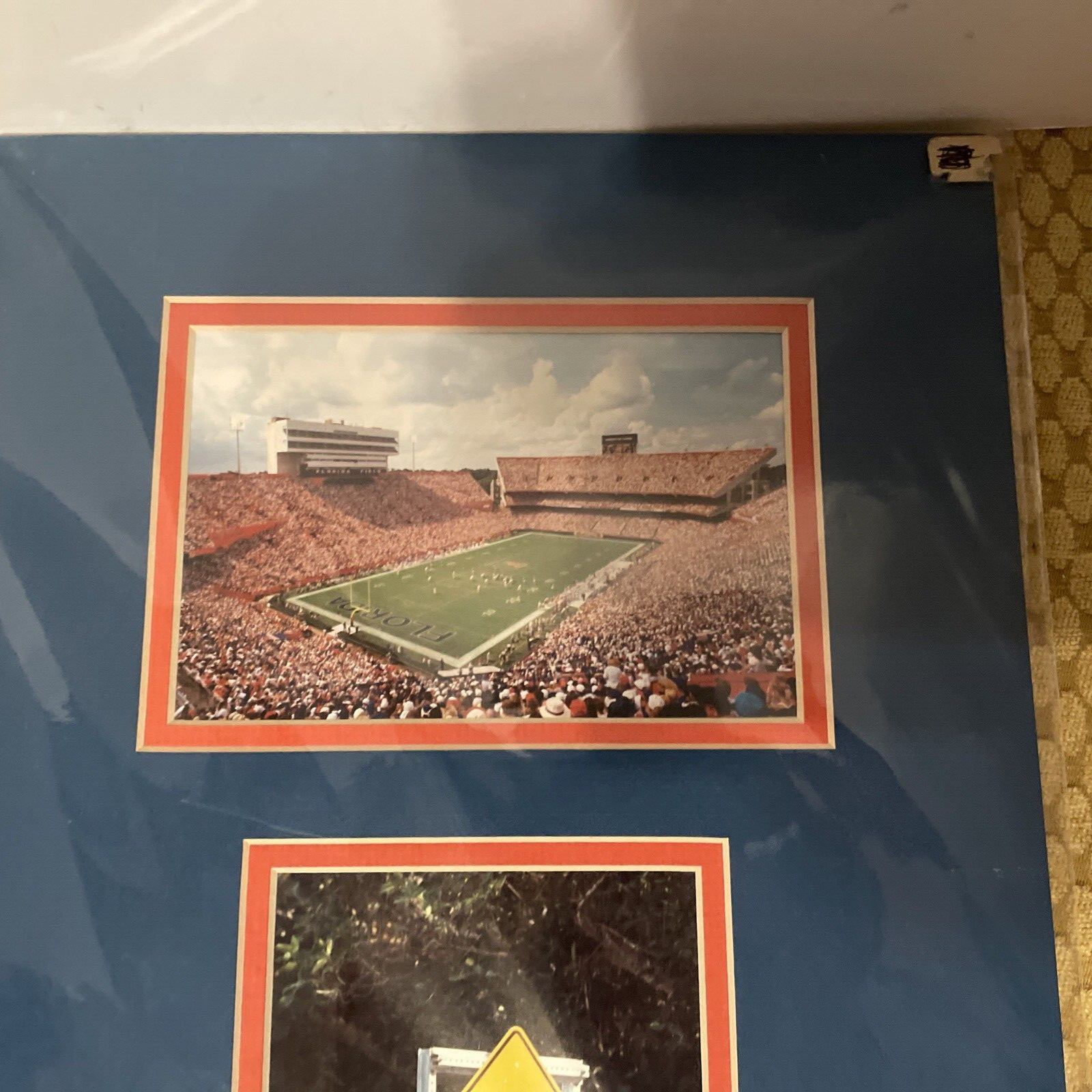 Steve Vaughn Signed 20X10 Photography Gator Country UF Florida Gators Football