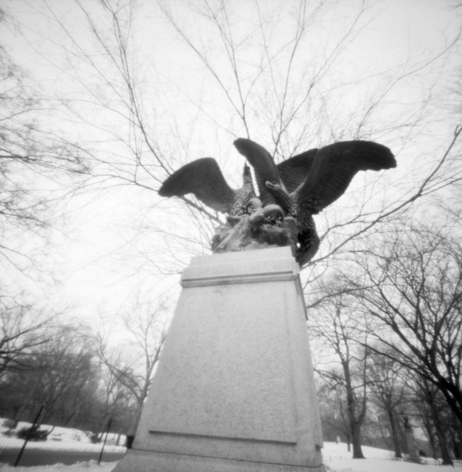 Eagles and Prey Central Park Pinhole Photo Medium Format Archival GICLÉE PRINT