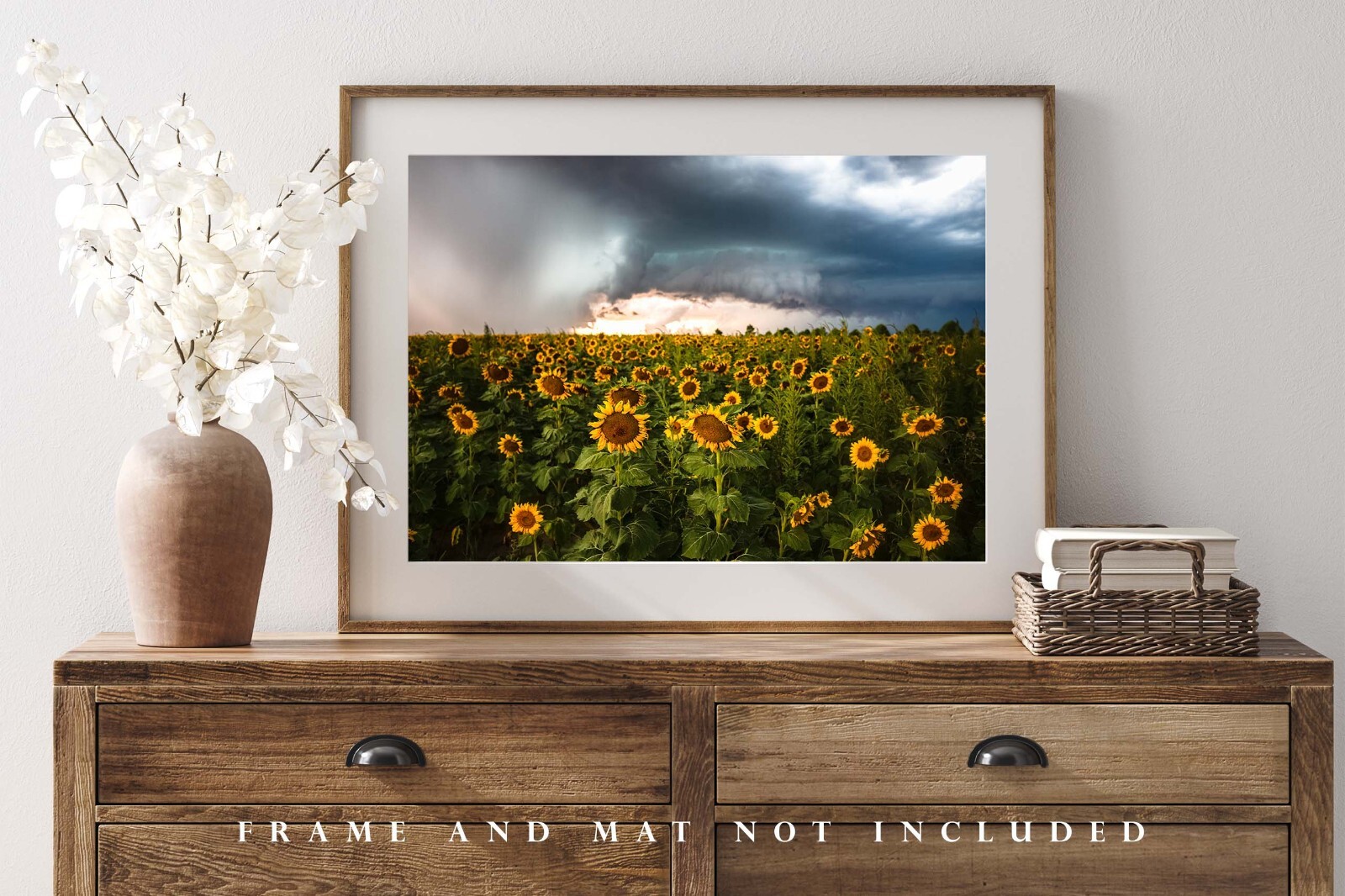 Sunflower Field Photography Print Storm Picture Kansas Photo Farmhouse Decor