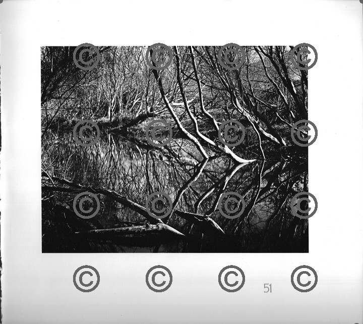 BOOK PLATE B&W Photo MORLEY BAER San Jose Creek, Carmel 1951 9X9.5″