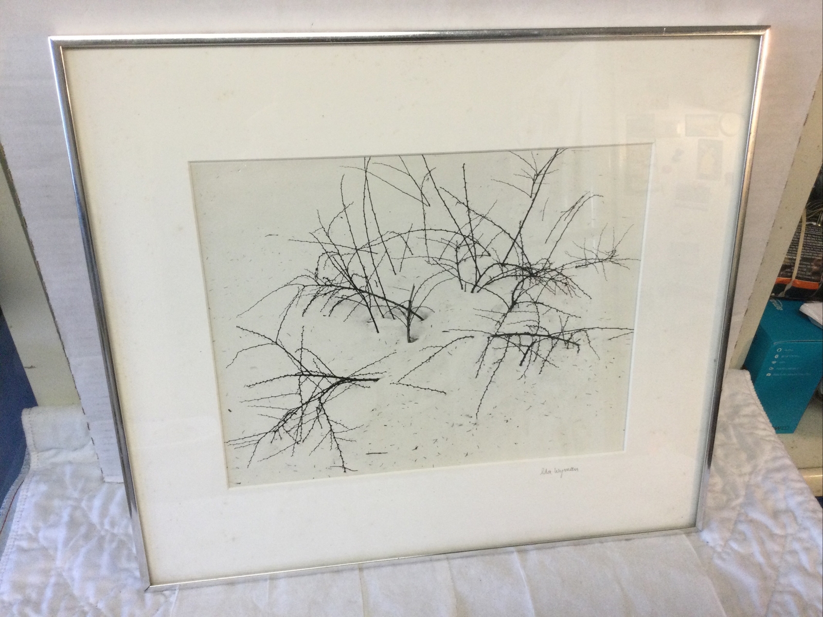 Vtg Genuine Ida Wyman Signed Winter Still Life Landscape Photo NY Photographer