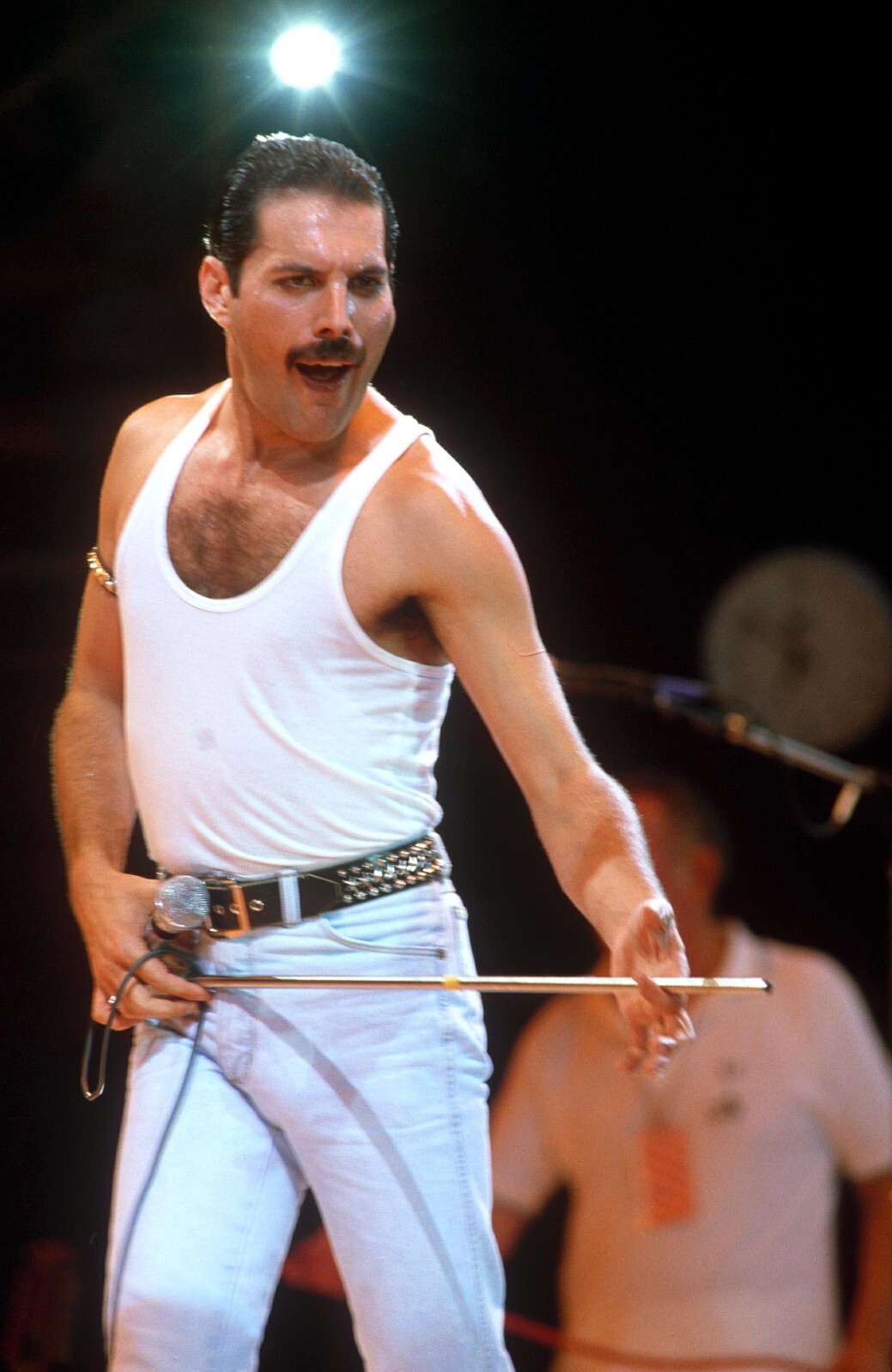 Freddie Mercury Photo Poster 13×19