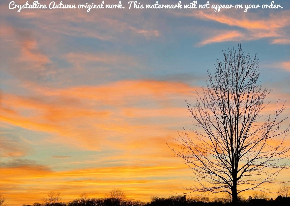 5×7 Colorful Sunset Landscape Photography Winter Barren Tree Giclee Print