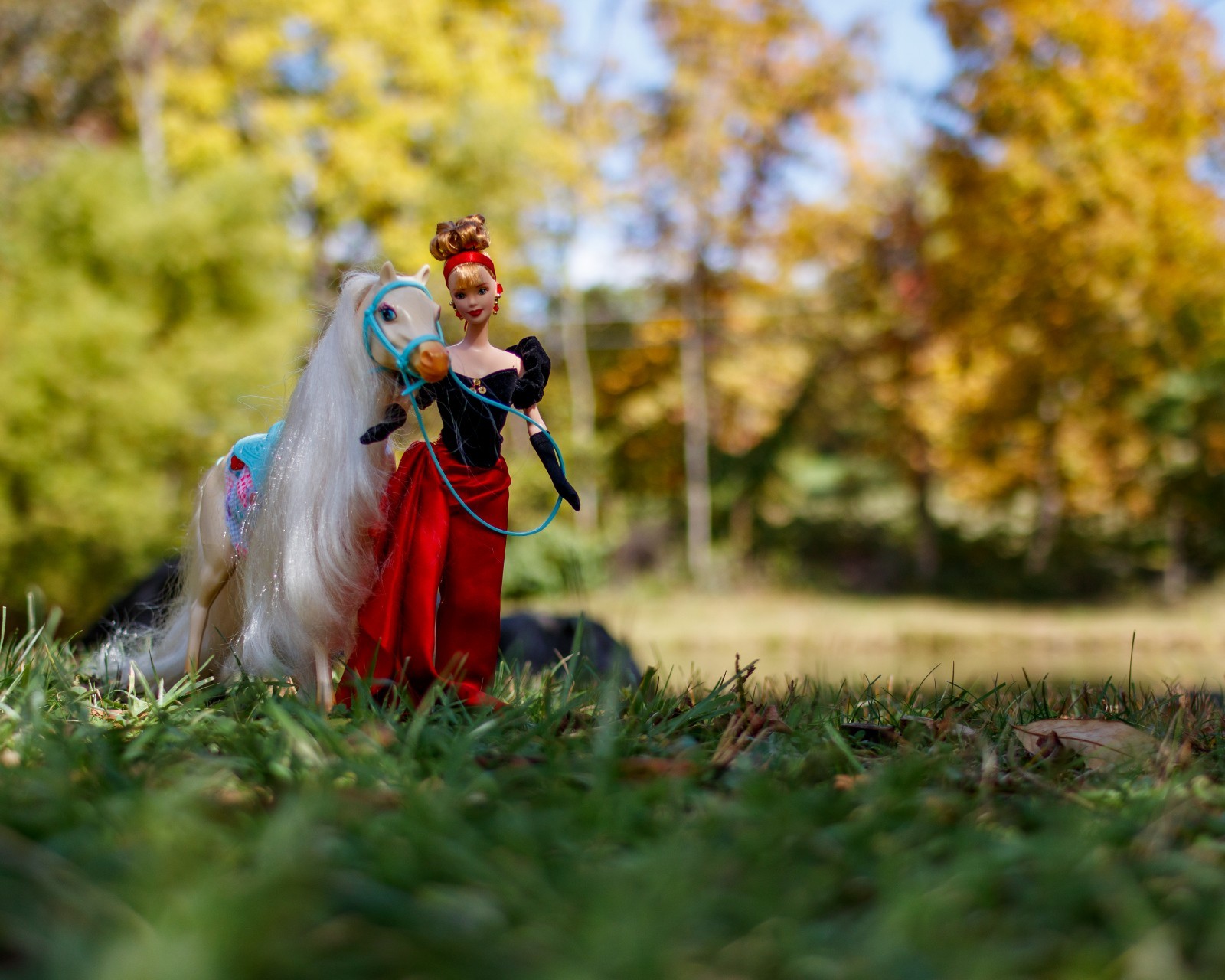 Winter Splendor Barbie and Nibbles in Gettysburg Photograph