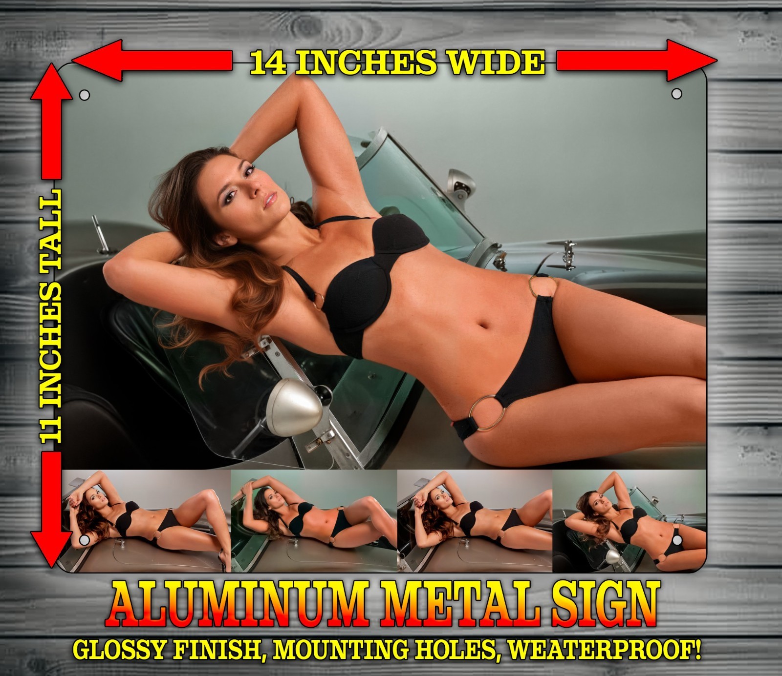 Danica Patrick Sexy Photoshoot on Car Metal Sign Wall Art 14″ x 11″
