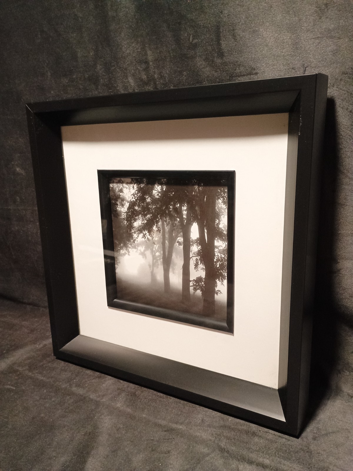 2 Modern Black & White Photography Trees Minimalist Moody 11.25 ” Square Frames