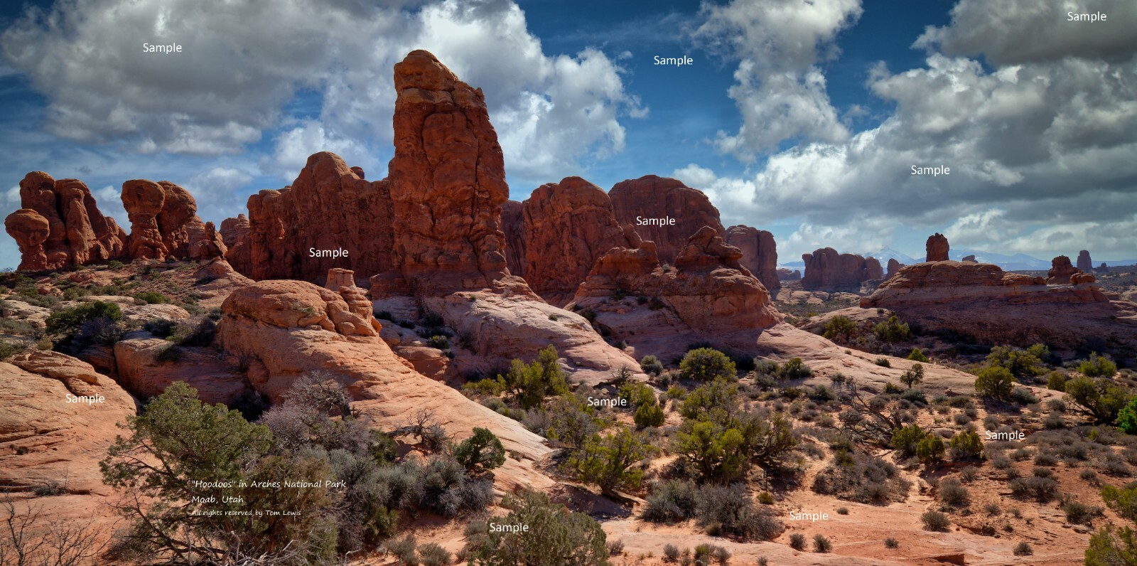 Arches National Park #12 Hoodoos Red Rock Moab Utah Photo Poster Print AP07