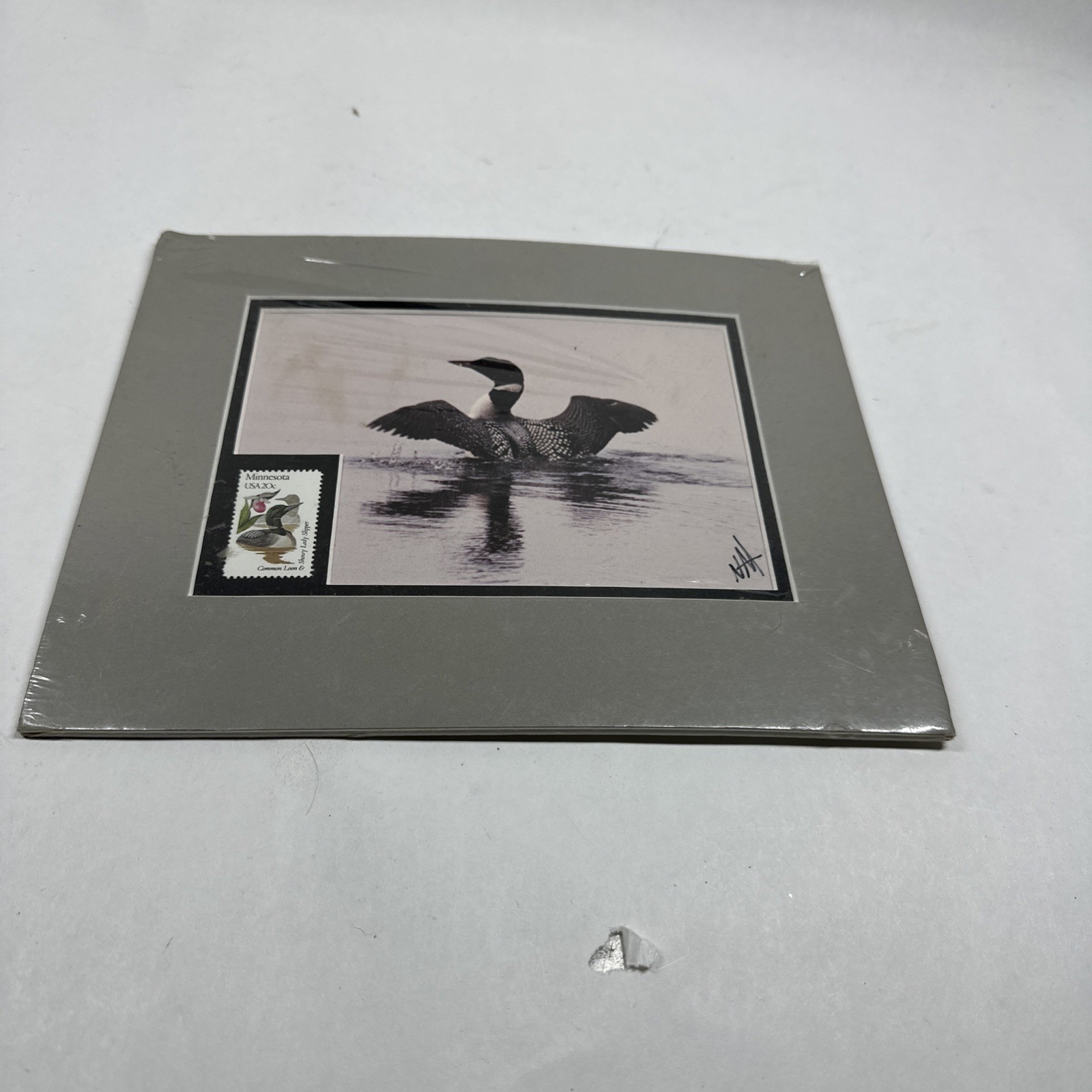 Normand Allard Big Stretch Loon Print With 20 Cent Minnesota State Postage Stamp