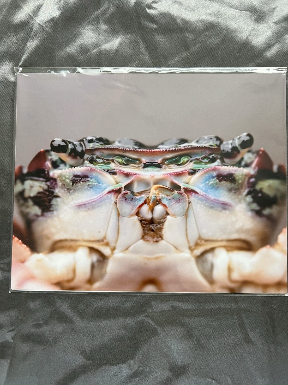 Girl In Water Photography Macro Crab Close-Up Color Photo Print 8×10 Landscape