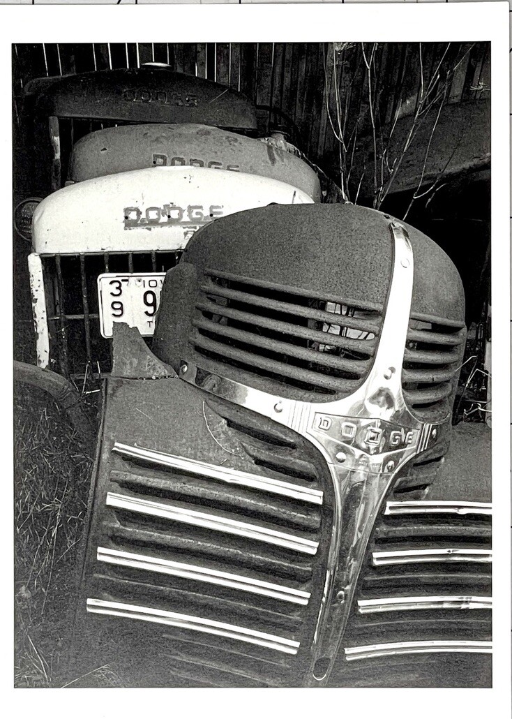 Michael Johnson Photography Show Announcement Card 1994 – Recent Work – Dodge