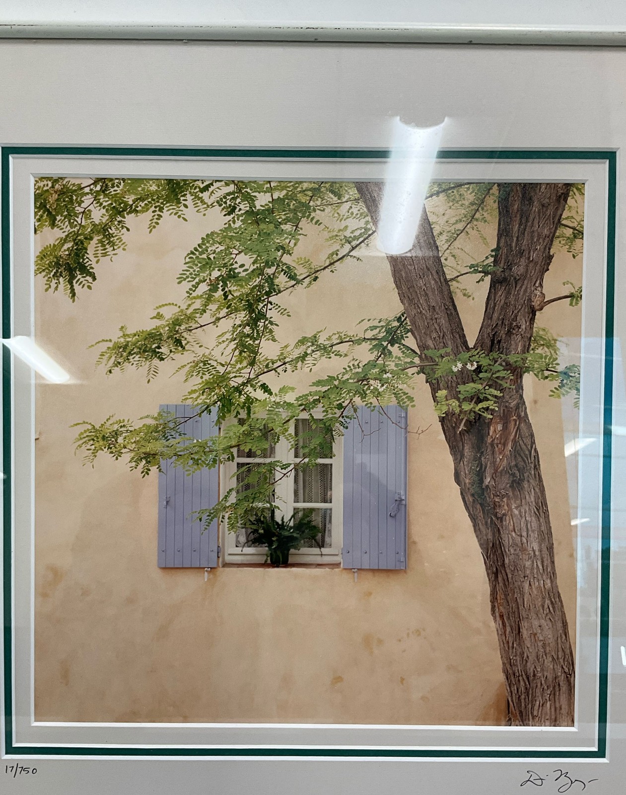 Dennis Barloga Signed Lilac Shutters Numbered Photo Print