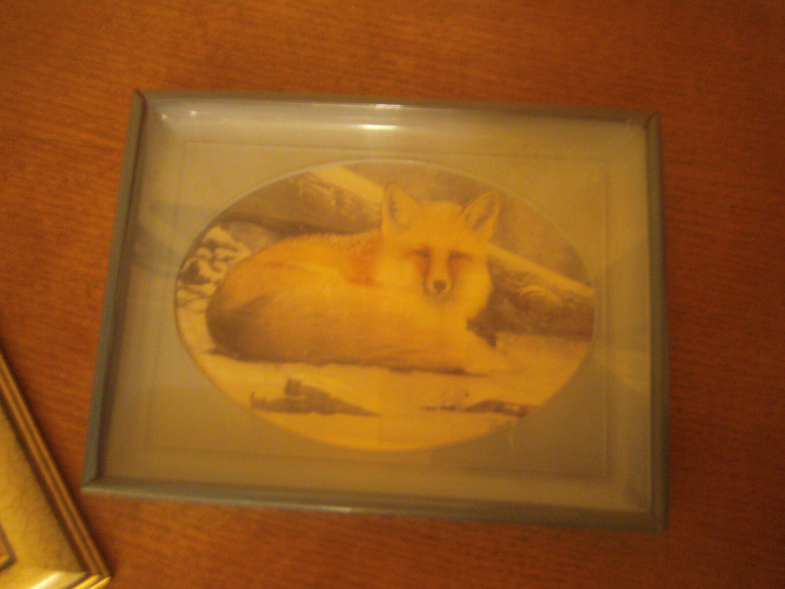 Pictures Deer and fox in winter Two Glass framed About 6 x 8 inches