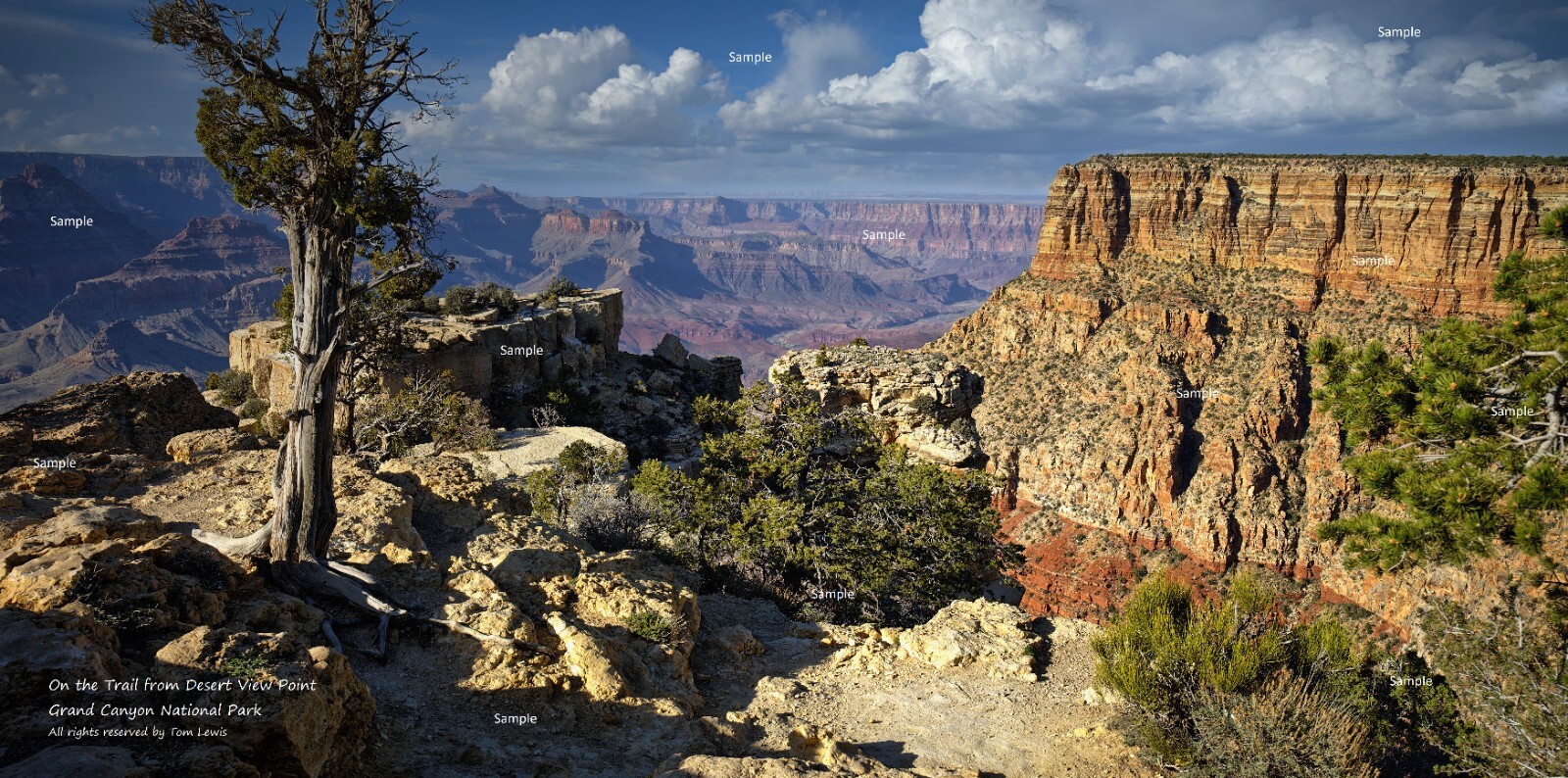 Grand Canyon National Park Arizona Desert View Trail Poster Photo Print GC14