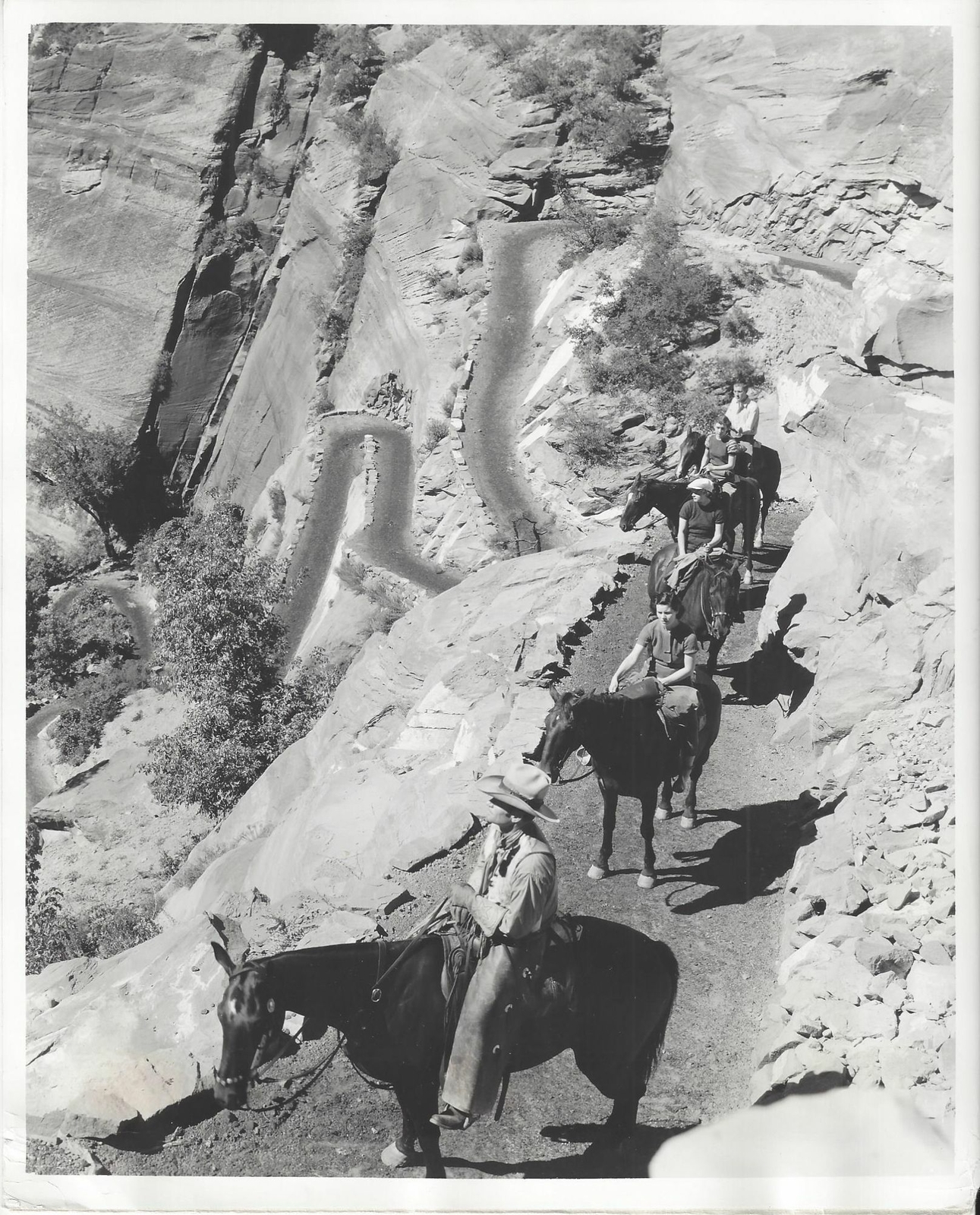 Utah Parks Company / Climbing the Walls of Zion 1950