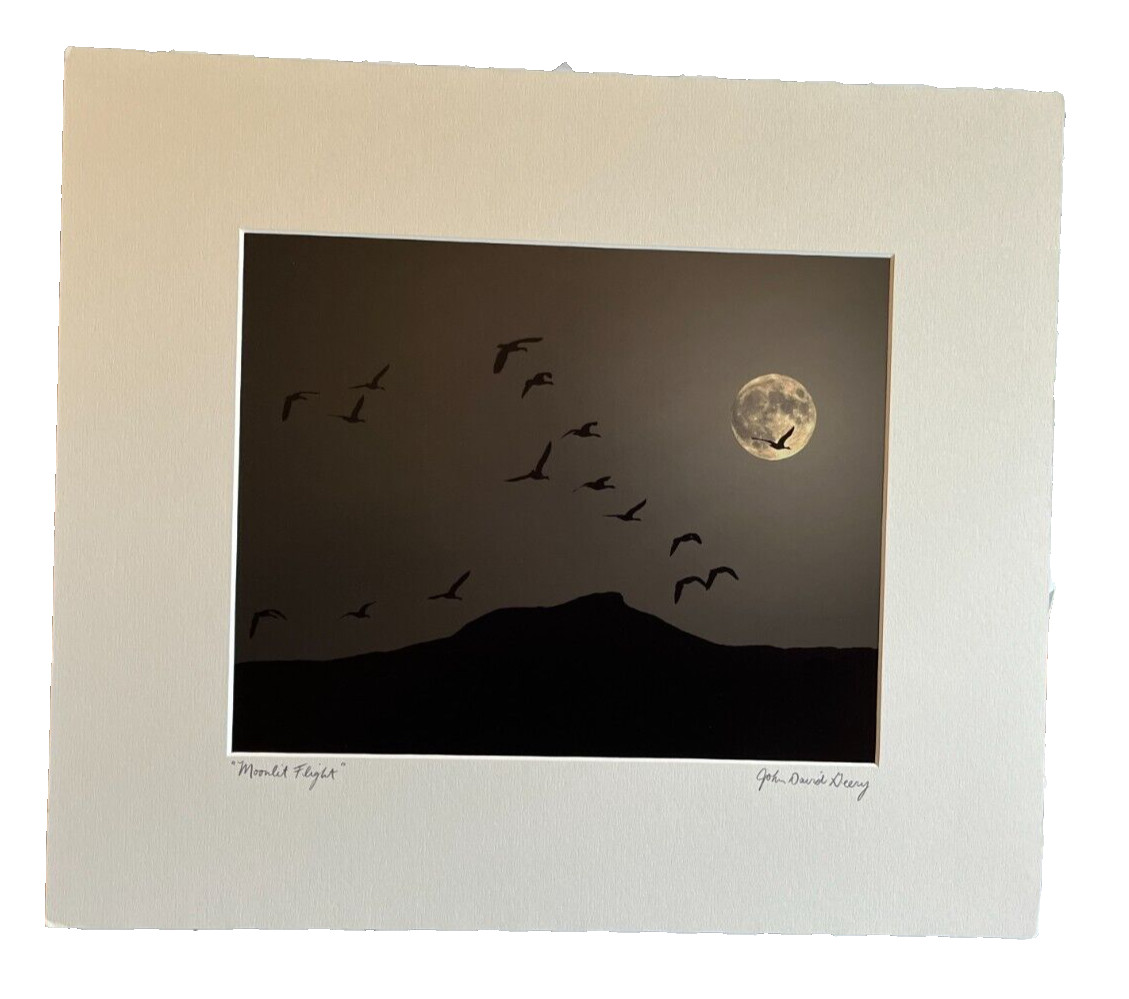 JOHN DAVID GEERY ~ “MOONLIGHT FLIGHT” SIGNED DIGITAL COMPOSITE PHOTO ~ 15” x 13”