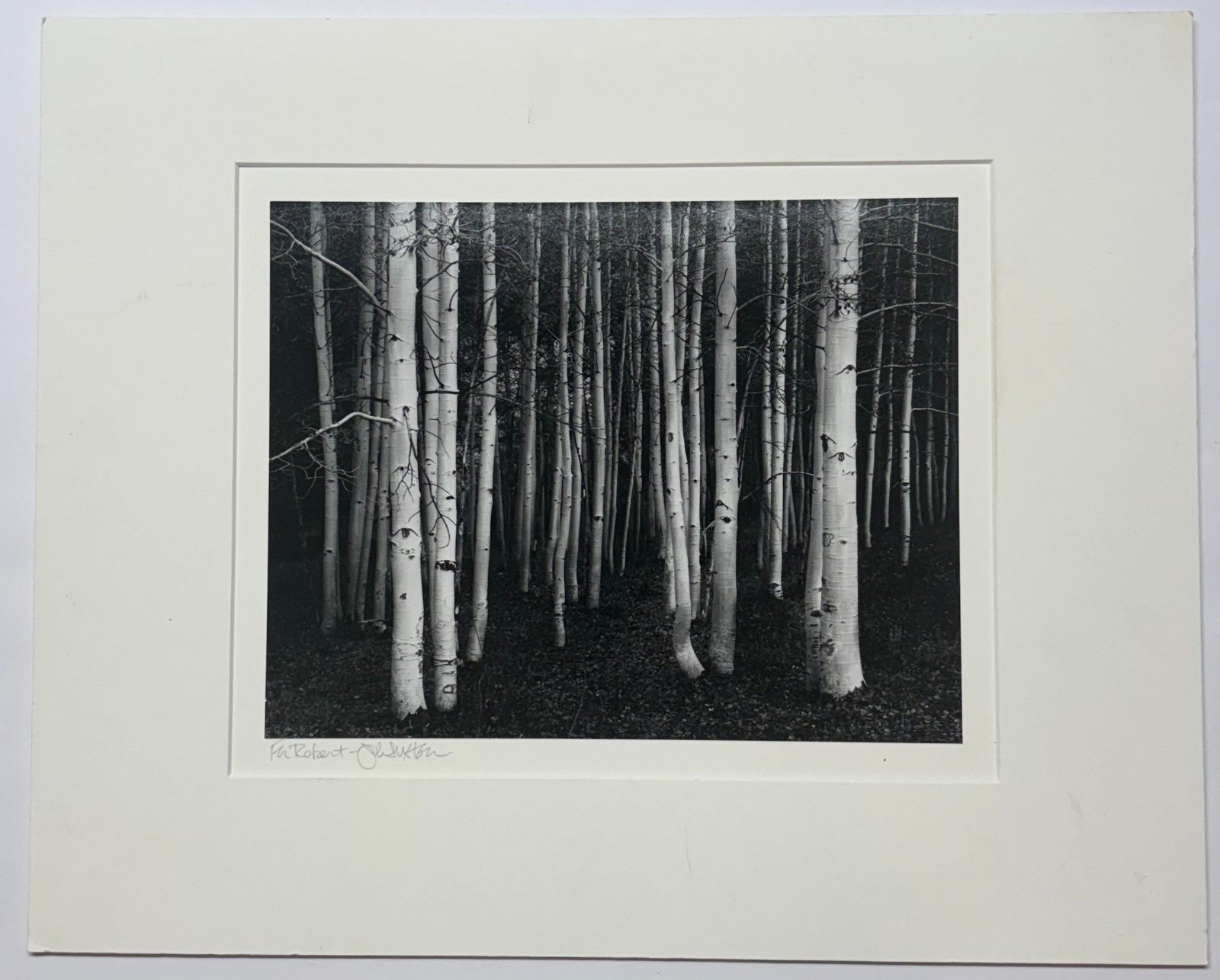 Original JOHN SEXTON ‘Aspens Dusk Conway Summit CALIFORNIA’ Signed PHOTOGRAPH