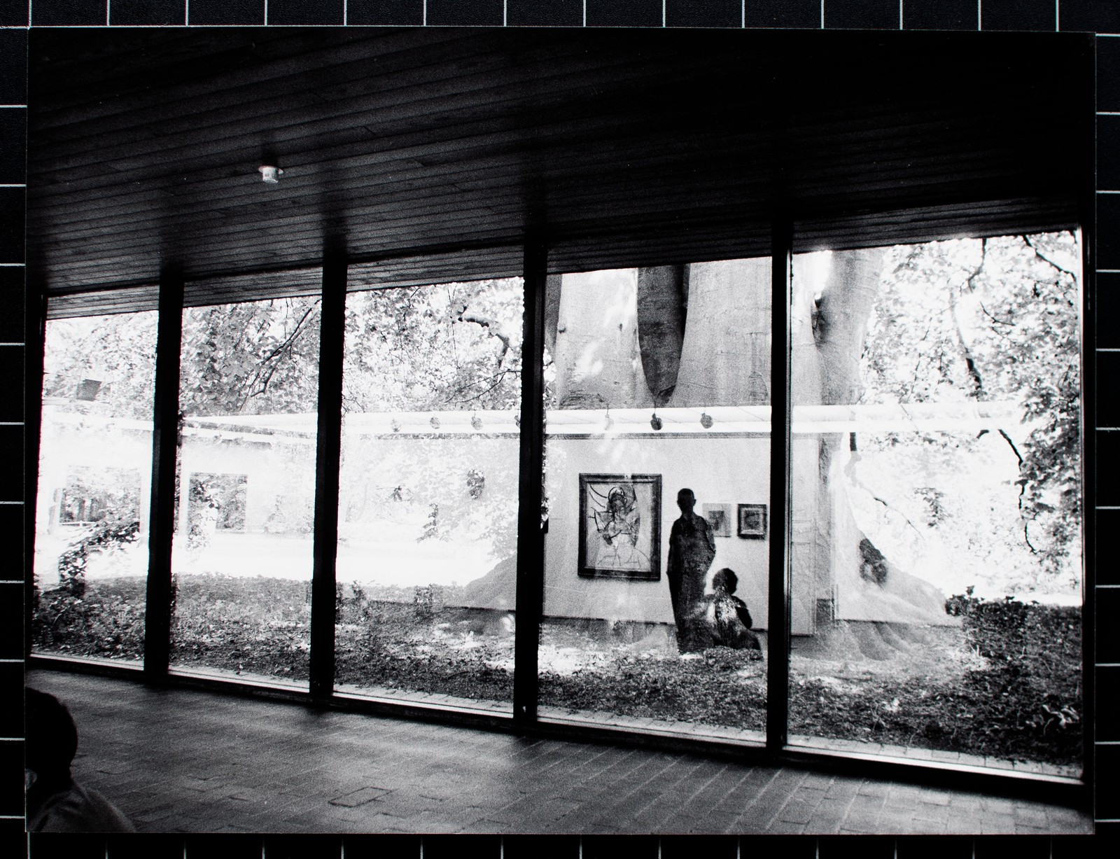 Gisela Franke Berlin Gallery Art Reflection Tree Photography 1980s
