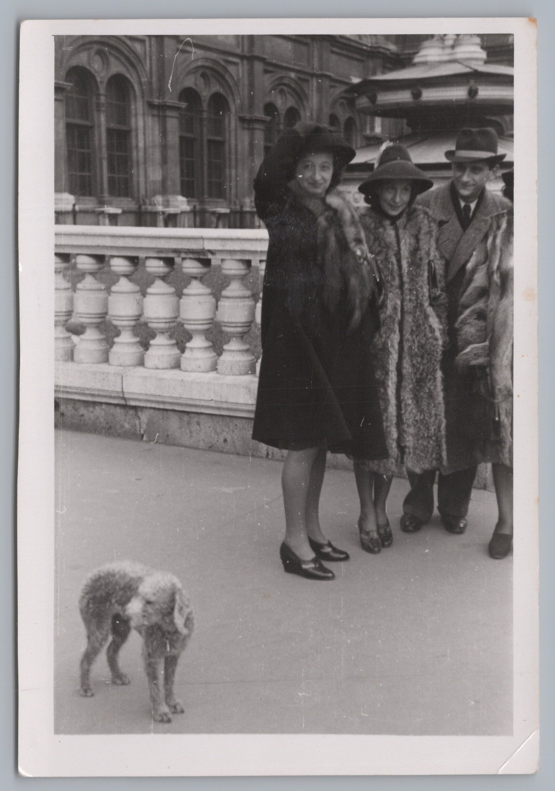 Women in Fur with Dog – Vintage Photo 1930s 1940s