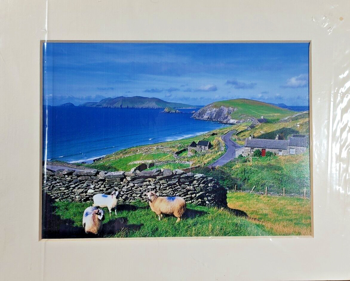 Original Photo Artwork Print Slea Head Dingle by Photographer Liam Blake Ireland