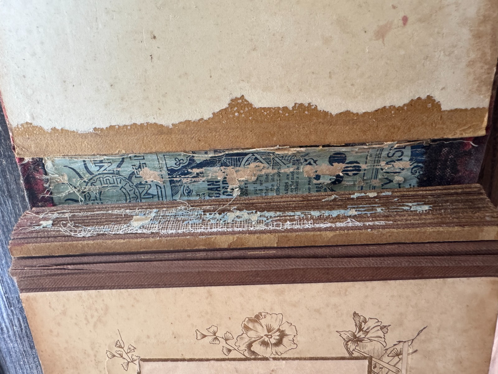 Turn of the Century Photo Album with Deer Emblem with 21 Photos – See Description