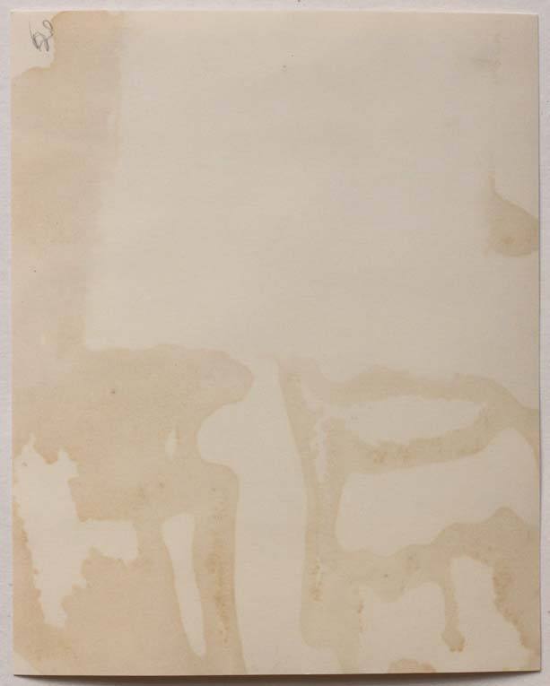 Original vintage 1950s abstract plant, surreal still life