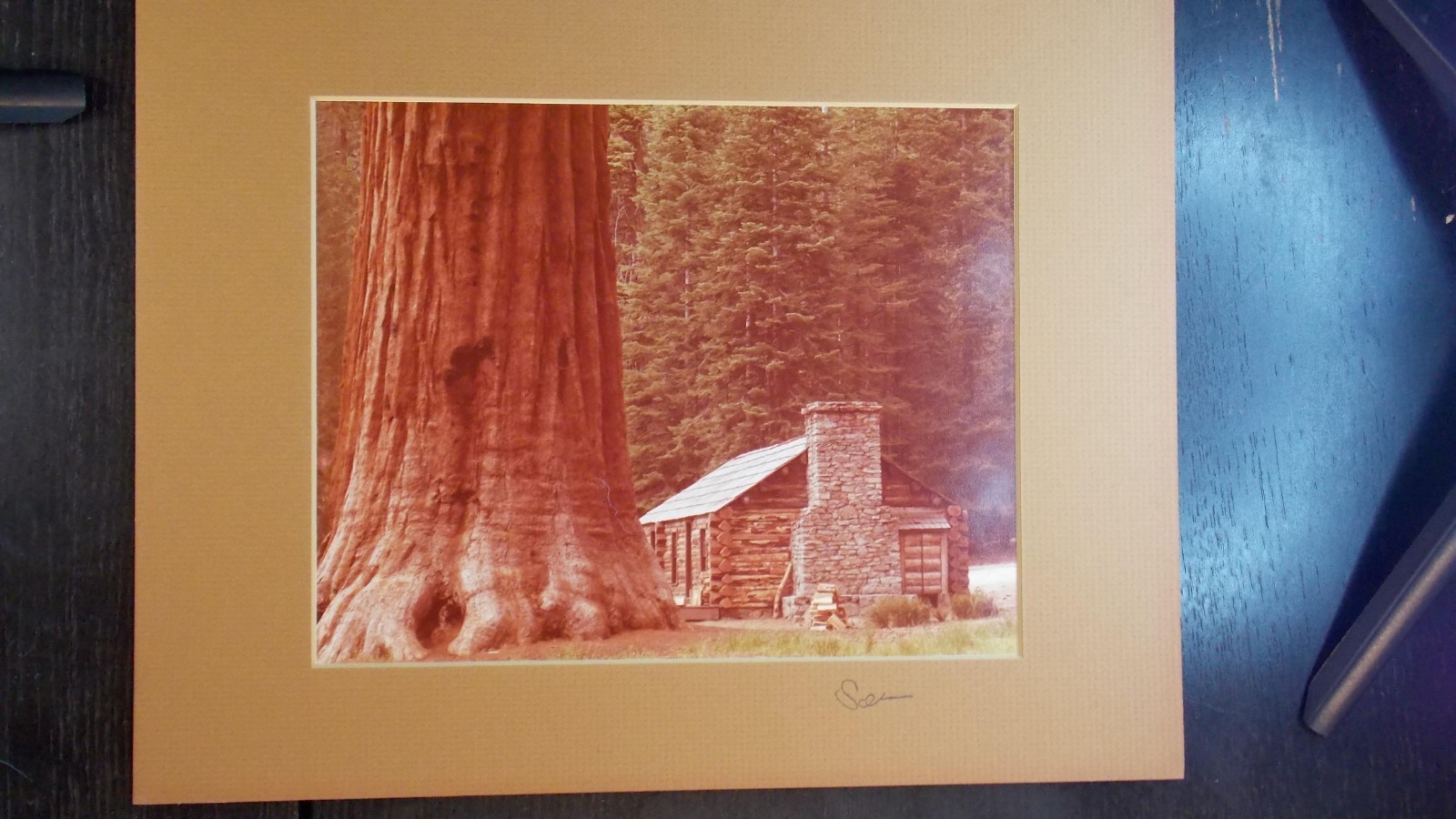 Borje Svensson Photography VTG, CA Scenic Redwood & Cabin, Signed, See Pictures