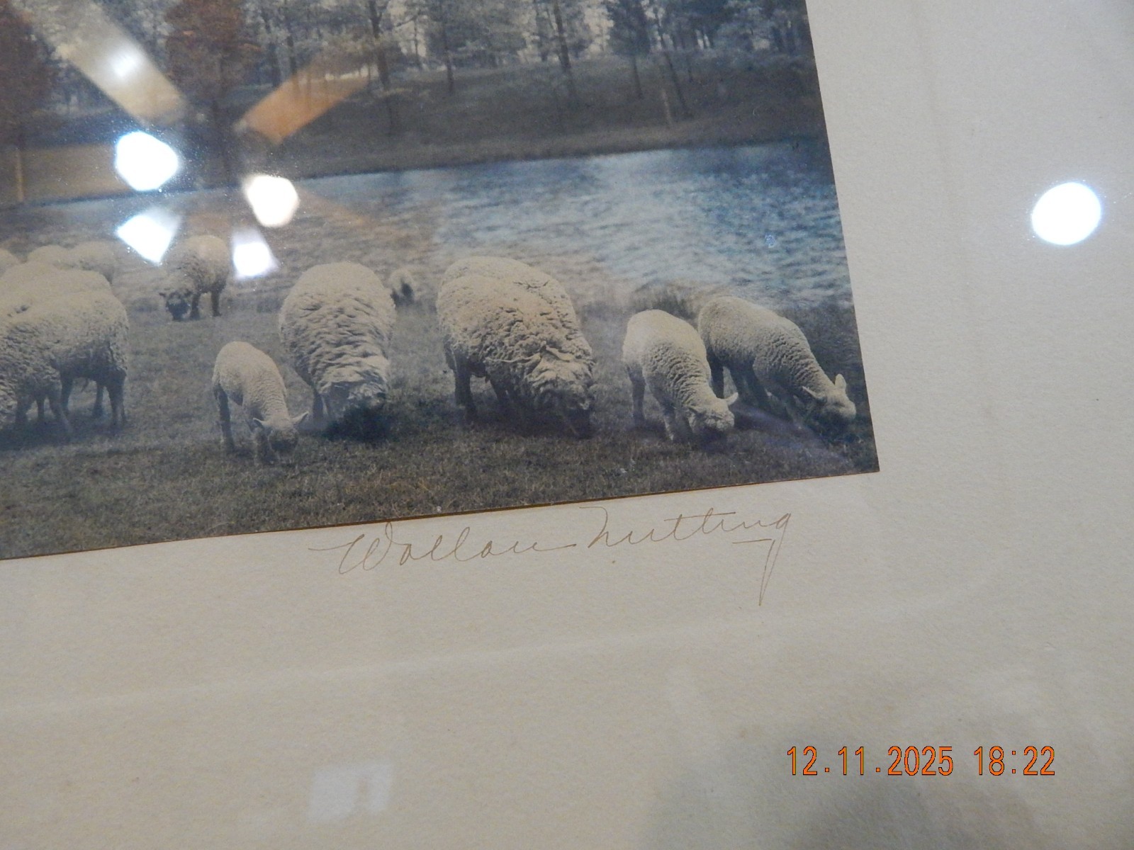 Large Rare Wallace Nutting w/Sheep “Warm Spring Day” Hand Colored Photo