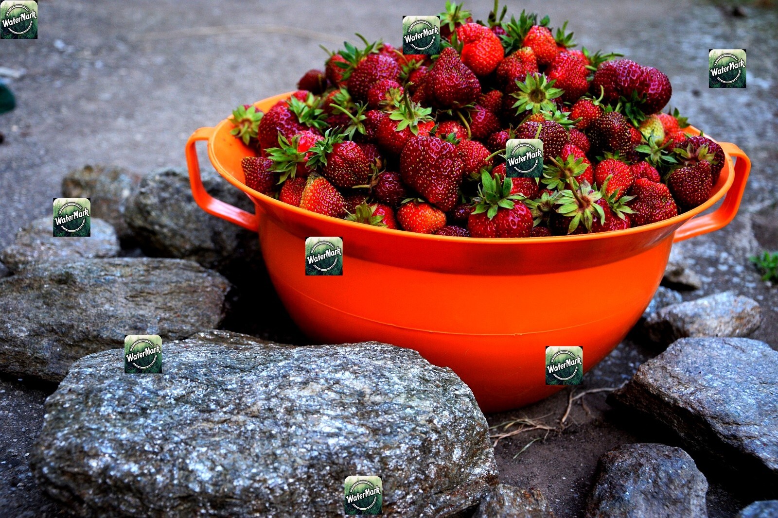 Art photo virtual postcard : e-product : bowl full of strawberries,free delivery