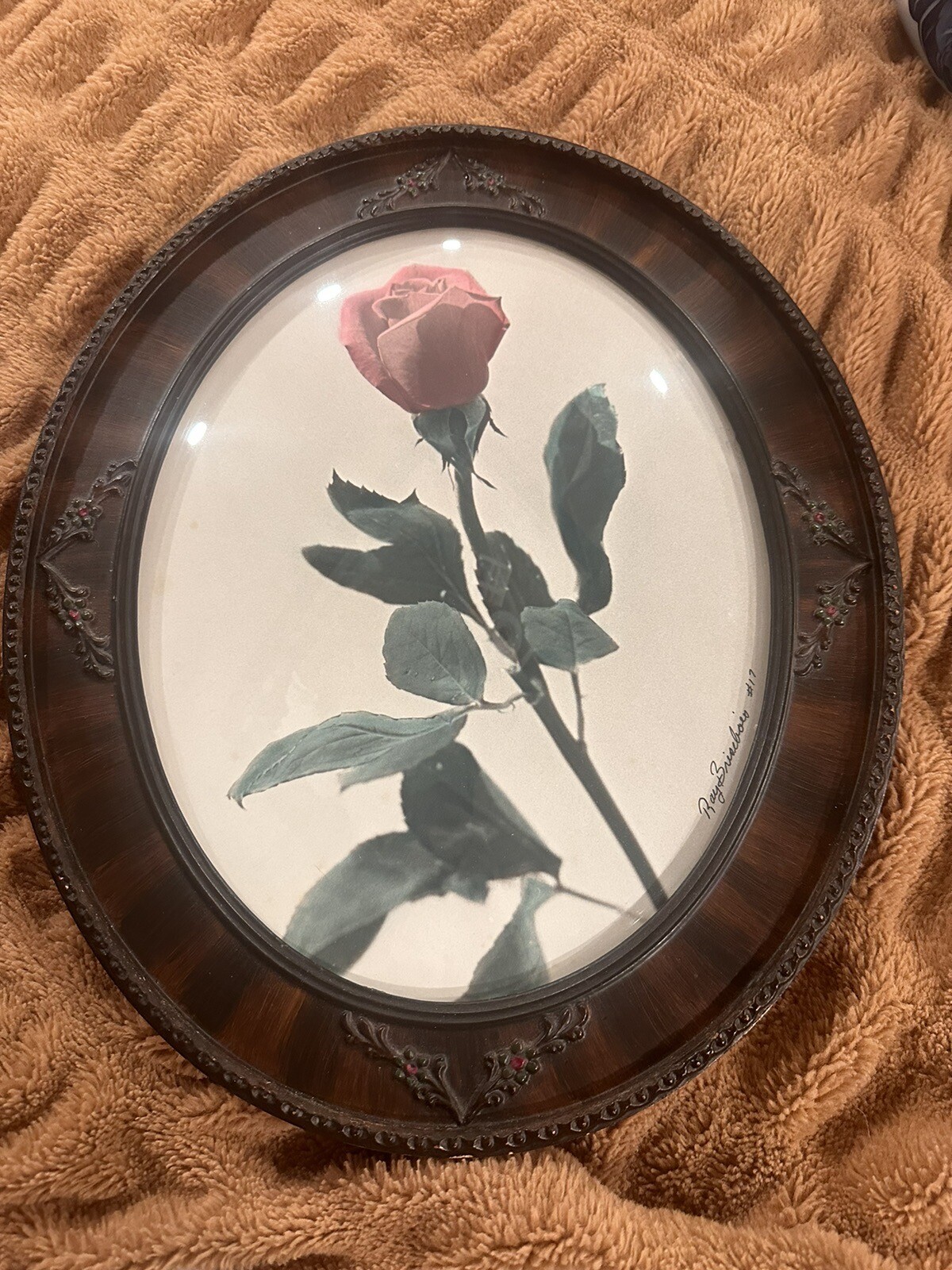 RARE- Ray Bisebois Photo Art Rose Oval Wooden Frame Dome Glass Signed By Artist